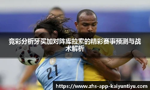 kaiyun开云官网